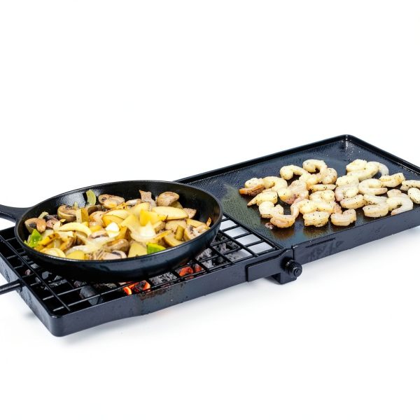 Heavy Duty Folding Campfire Grill 24" Swivel Adventure Seeka-6
