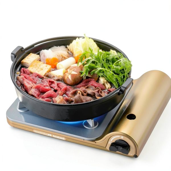Iwatani Cassette Grill TATSUJIN Slim Ⅲ CB-SS-50-1
